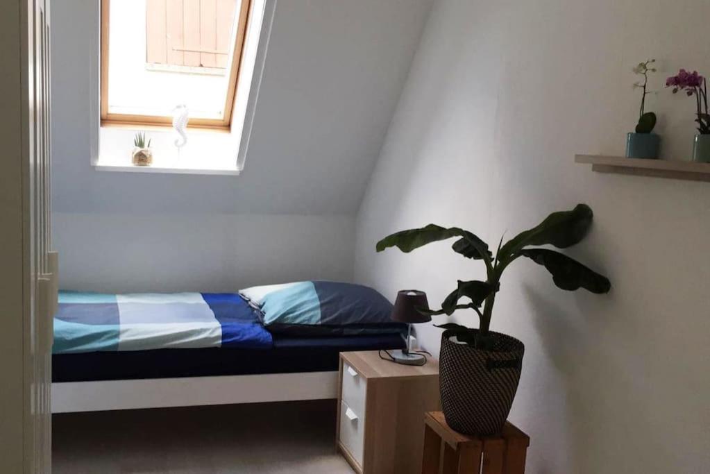 22B Grosse Wohnung Mit Balkon, Smarttv Und Wlan Korb Екстер'єр фото